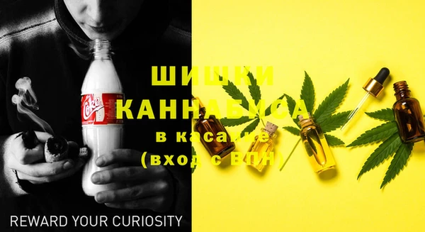 твердый Нягань