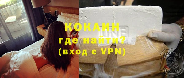 ПСИЛОЦИБИНОВЫЕ ГРИБЫ Новозыбков