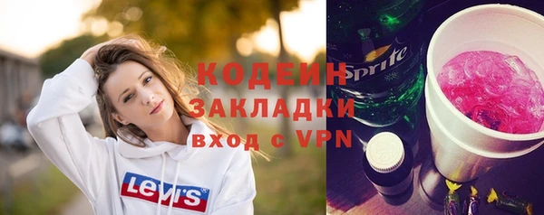 трава Няндома