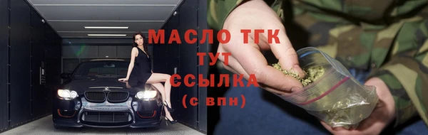 трава Няндома
