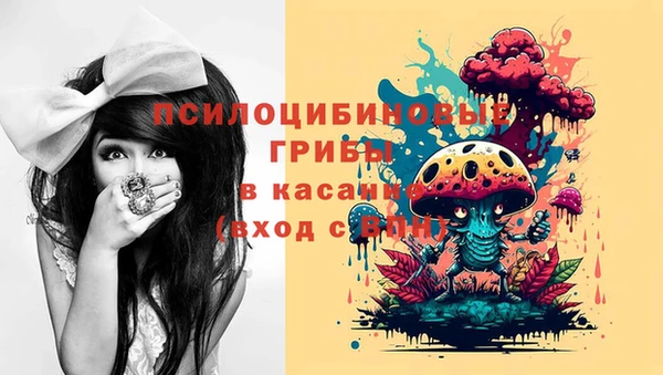трава Нязепетровск