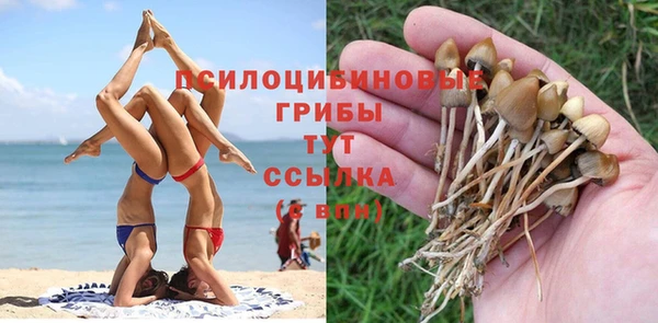 трава Нязепетровск