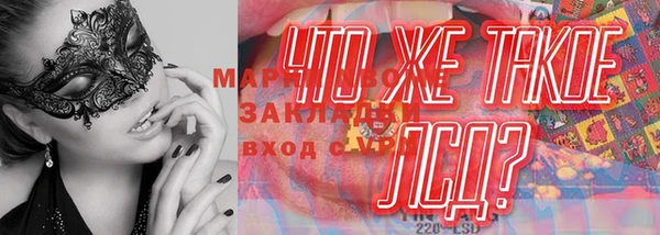 трава Няндома