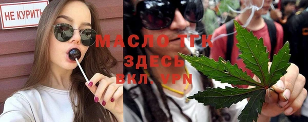 трава Няндома