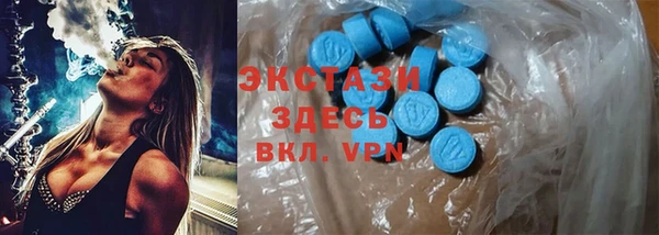 трава Няндома