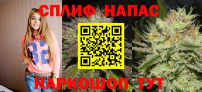 СК Гай