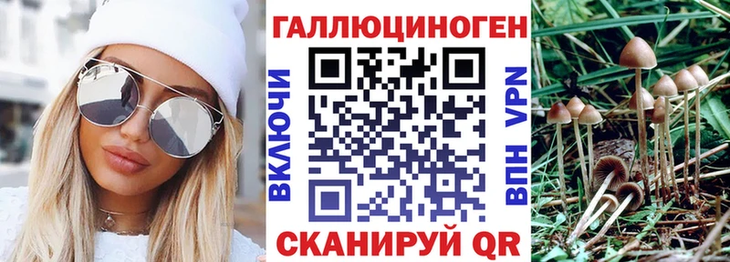 купить наркотики сайты  OMG   Псилоцибиновые грибы GOLDEN TEACHER  Абинск 