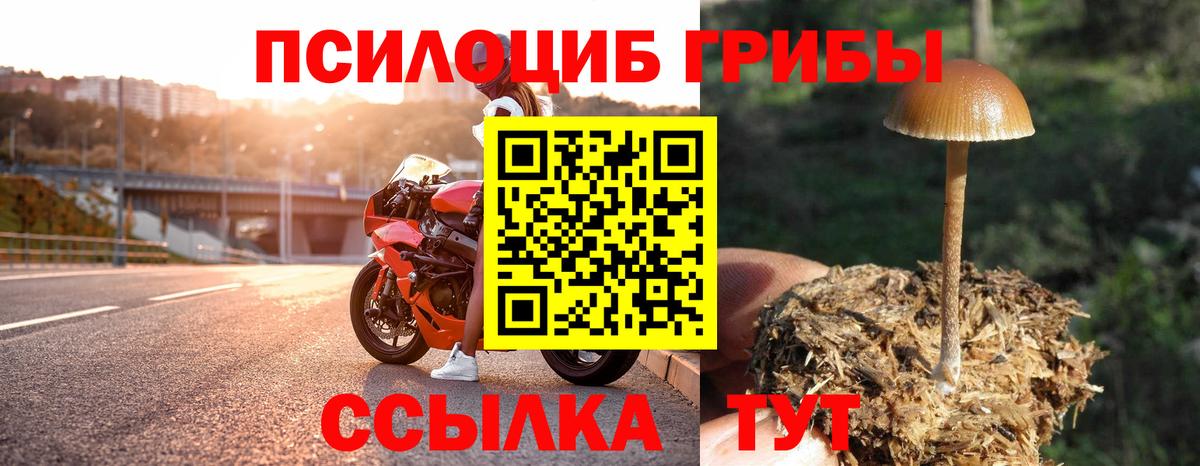 Псилоцибиновые грибы ЛСД Абинск