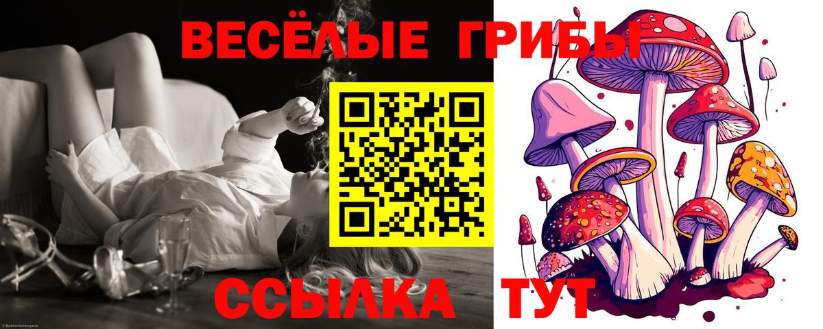 Галлюциногенные грибы Psilocybine cubensis  Вход с VPN  Абинск 