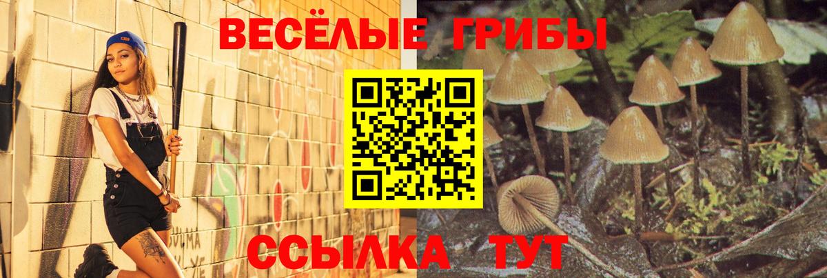 Псилоцибиновые грибы ЛСД  Абинск 